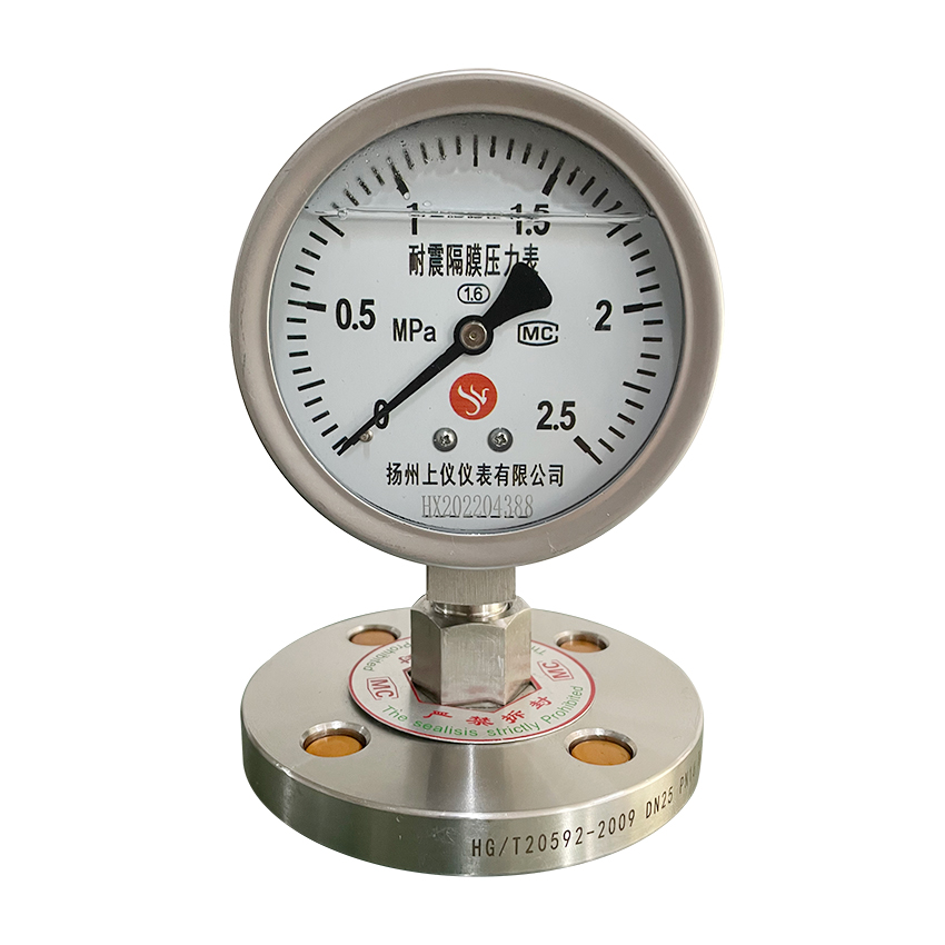 法蘭(lan)式隔膜壓力(li)表-Y100MF